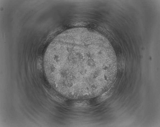 X0000067850175200605111717