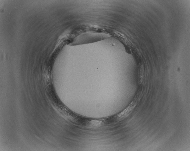 X0000067850176200605111717