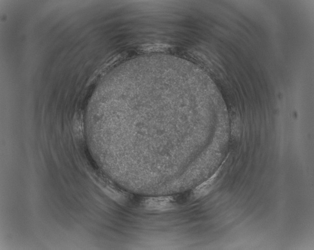 X0000067850179200605111717