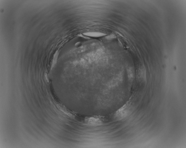 X0000067850180200605111717