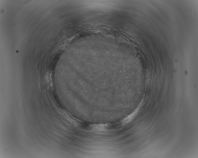 X0000067850182200605111717