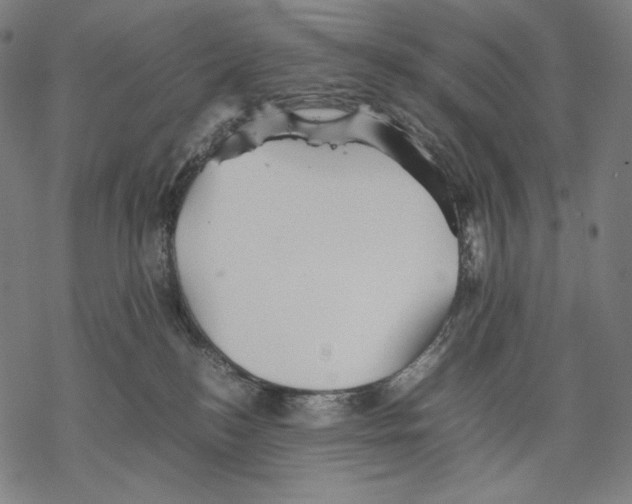 X0000067850184200605111717