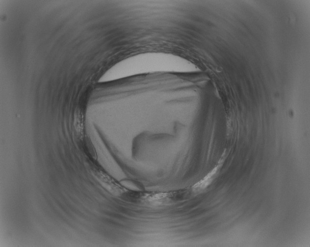 X0000067850186200605111717