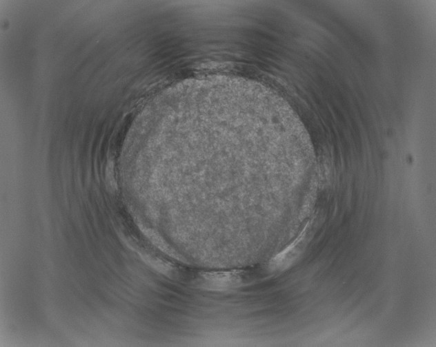 X0000067850187200605111717