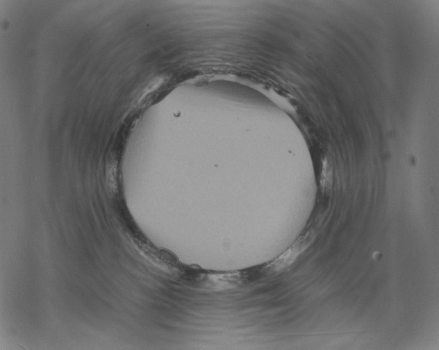 X0000067850188200605111717