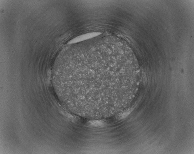 X0000067850189200605111717