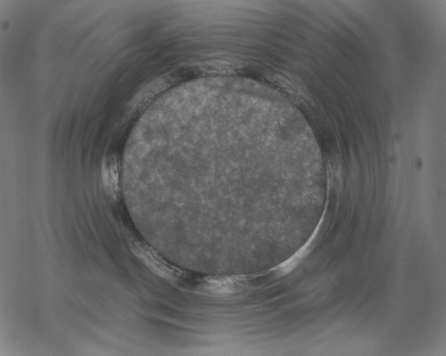 X0000067850190200605111717