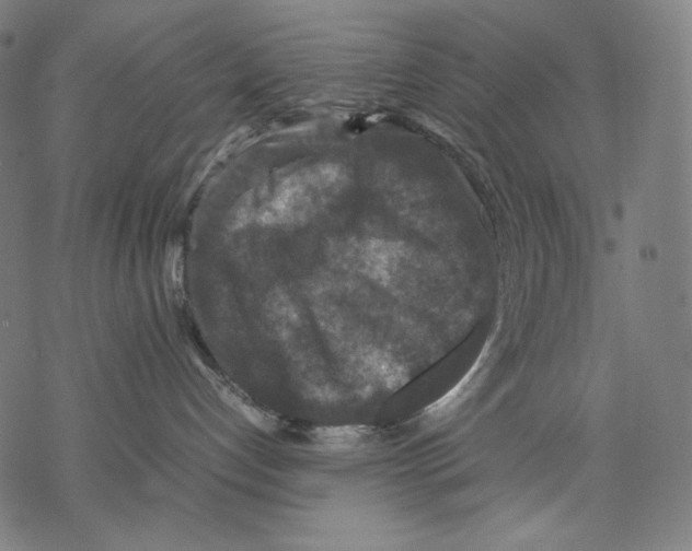 X0000067850192200605111717