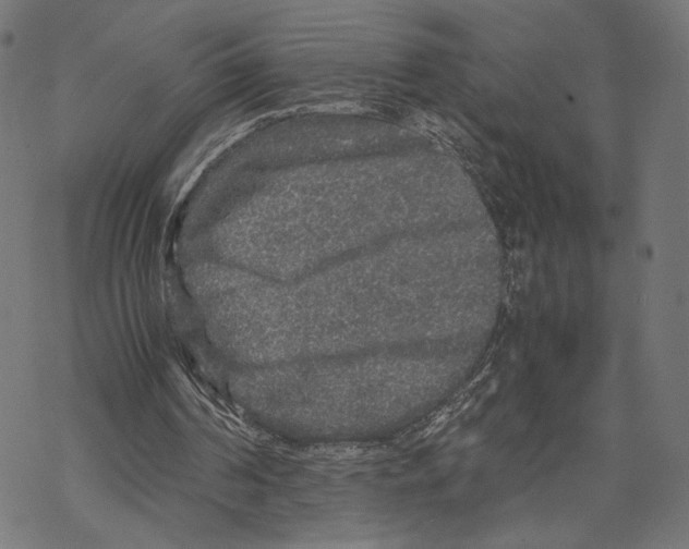 X0000067850194200605111717