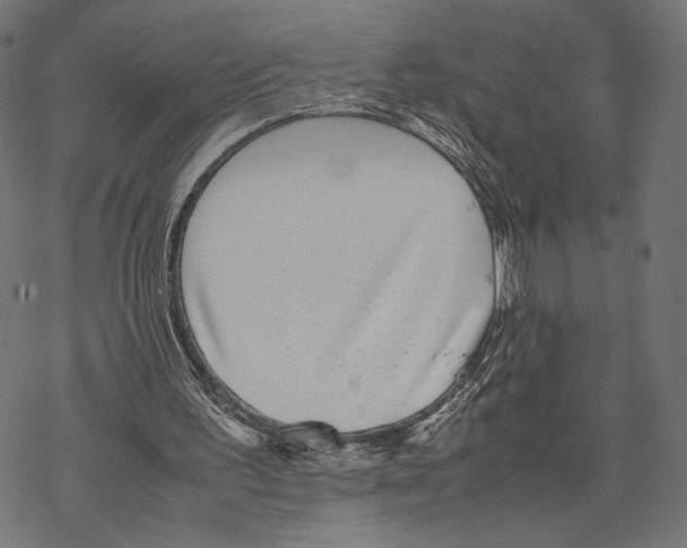 X0000067850195200605111717