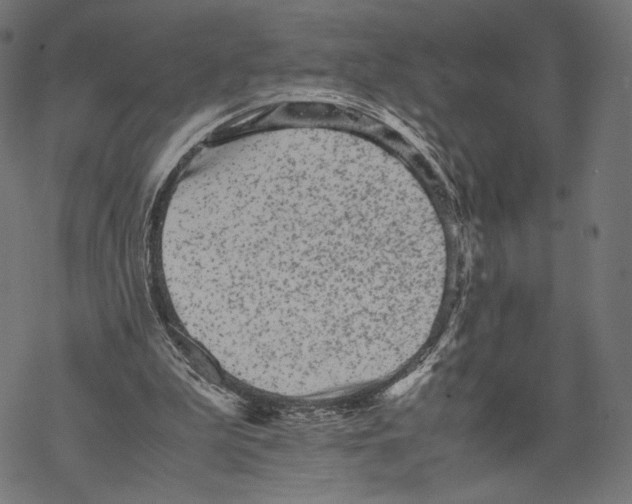 X0000067850199200605111717