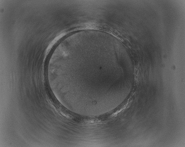 X0000067850200200605111717