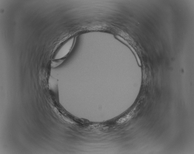 X0000067850201200605111717