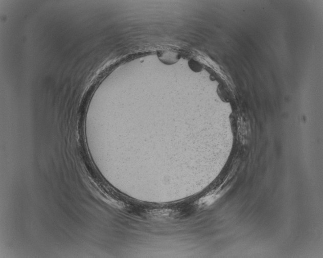 X0000067850203200605111717