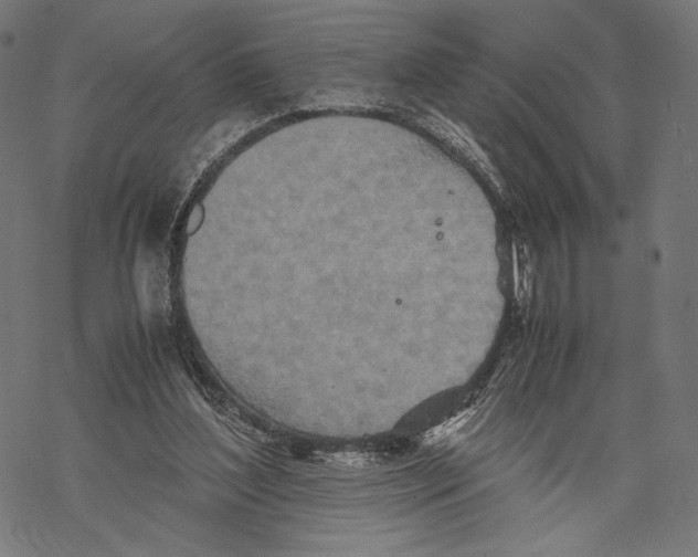 X0000067850204200605111716