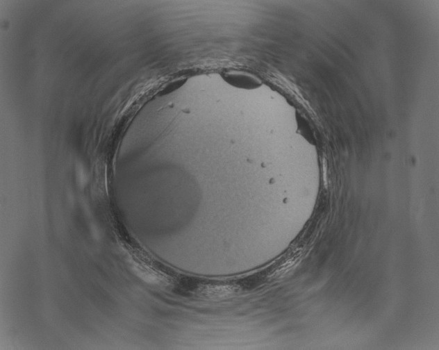 X0000067850205200605111716