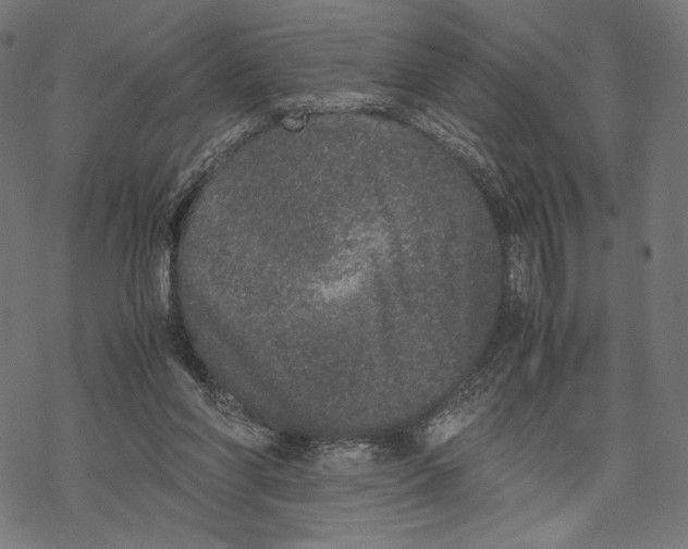 X0000067850206200605111716