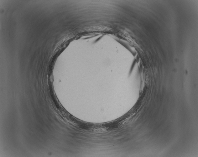 X0000067850207200605111716