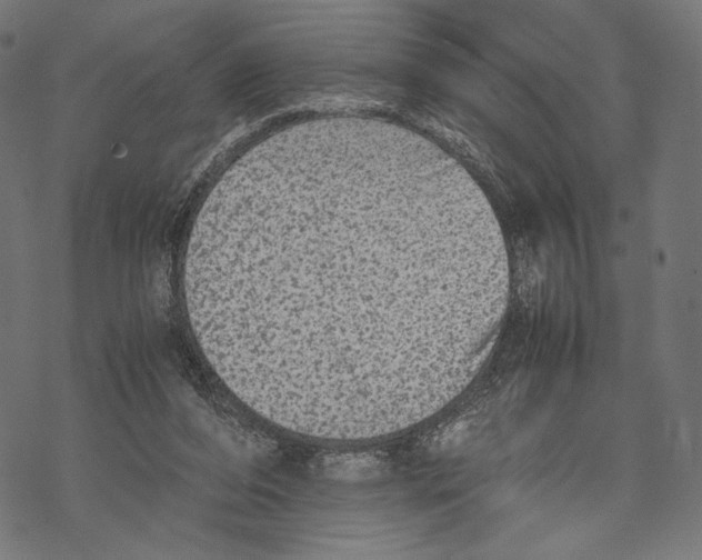 X0000067850208200605111716