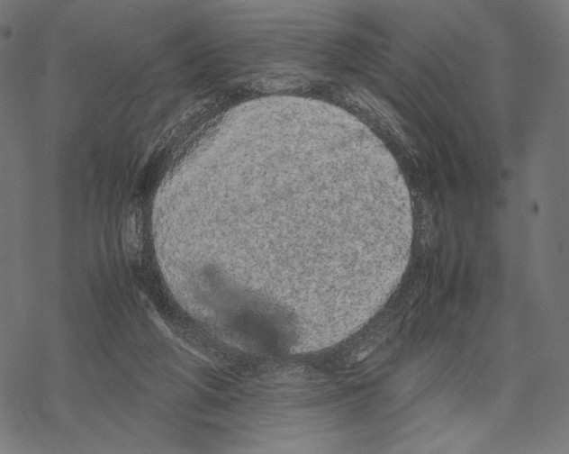 X0000067850210200605111716