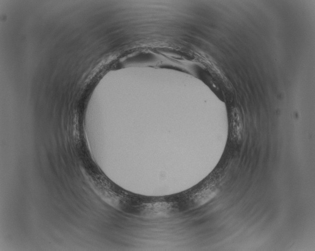 X0000067850212200605111716