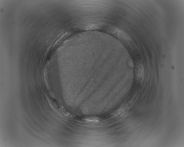 X0000067850214200605111716