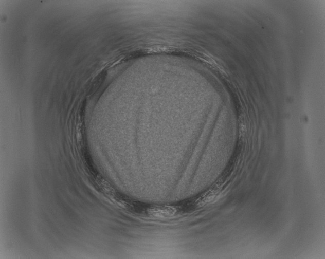 X0000067850215200605111716