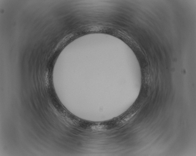 X0000067850216200605111716