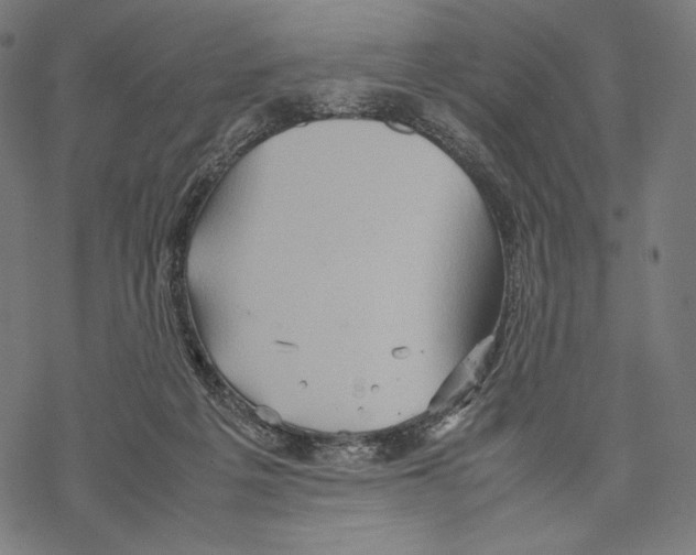 X0000067850217200605111716