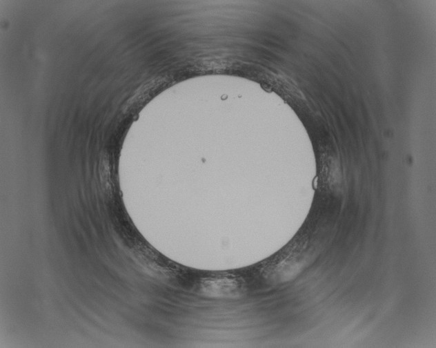 X0000067850220200605111716