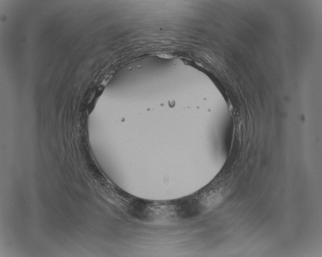 X0000067850221200605111716