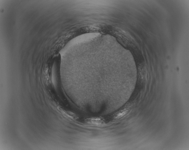 X0000067850223200605111716