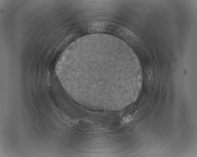 X0000067850224200605111716