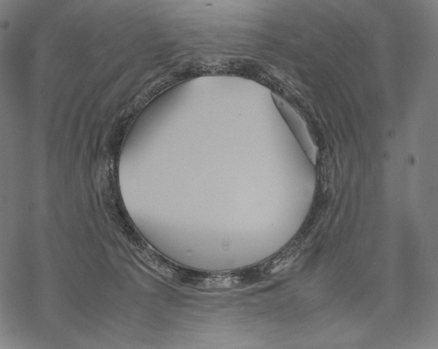 X0000067850225200605111716