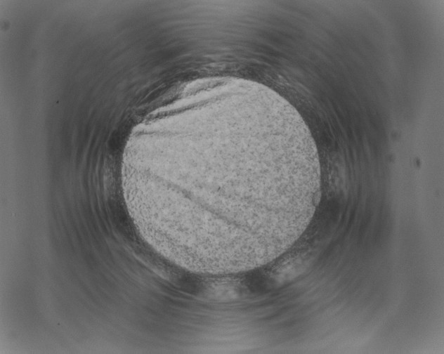 X0000067850226200605111716