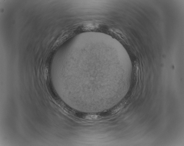 X0000067850227200605111716