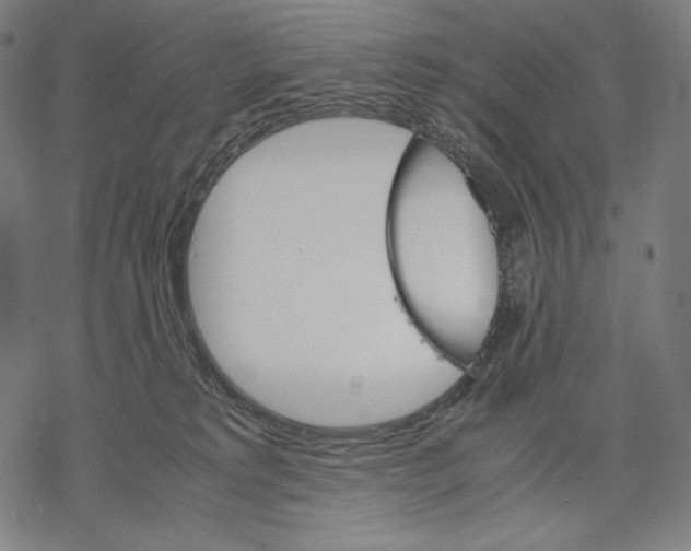 X0000067850229200605111716