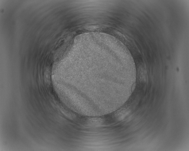 X0000067850234200605111716