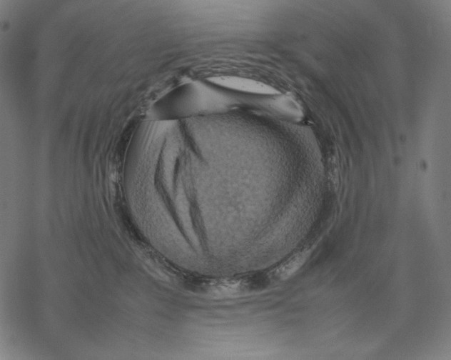 X0000067850235200605111716