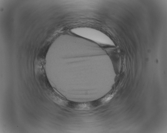 X0000067850237200605111716