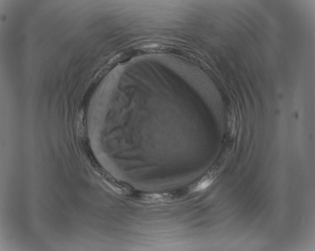 X0000067850239200605111716