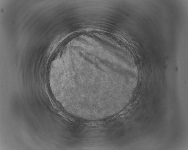 X0000067850241200605111715