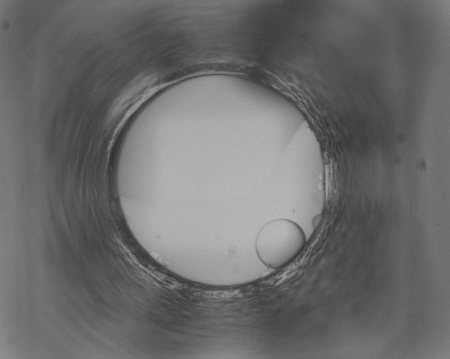 X0000067850243200605111715