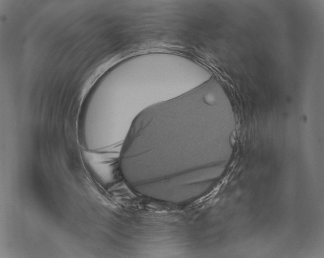 X0000067850244200605111715