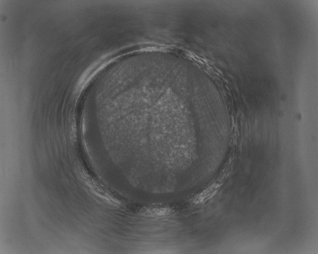 X0000067850247200605111715