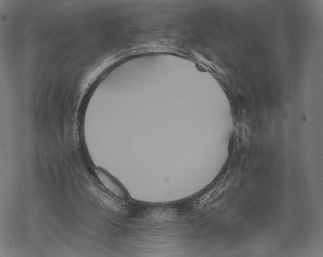 X0000067850248200605111715