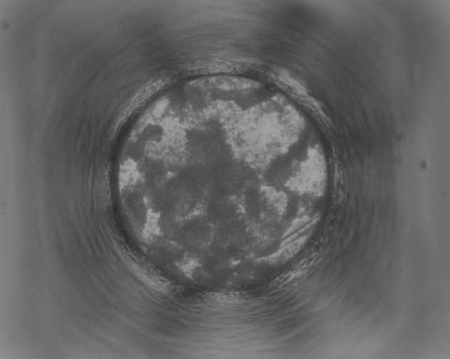 X0000067850250200605111715