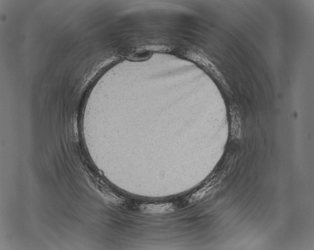 X0000067850251200605111715