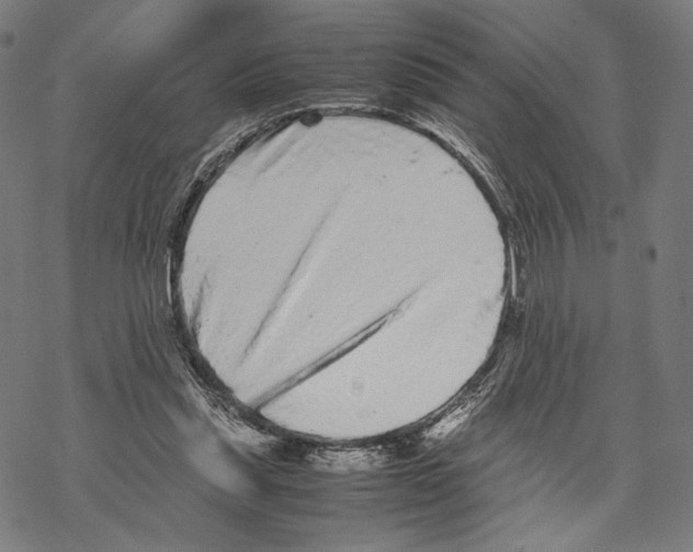 X0000067850253200605111715