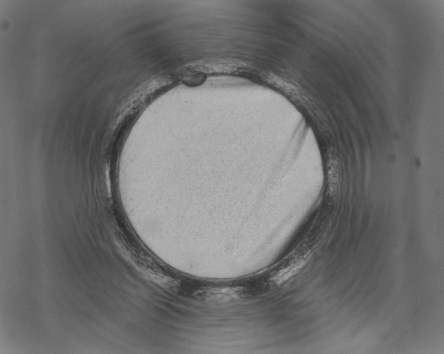 X0000067850254200605111715